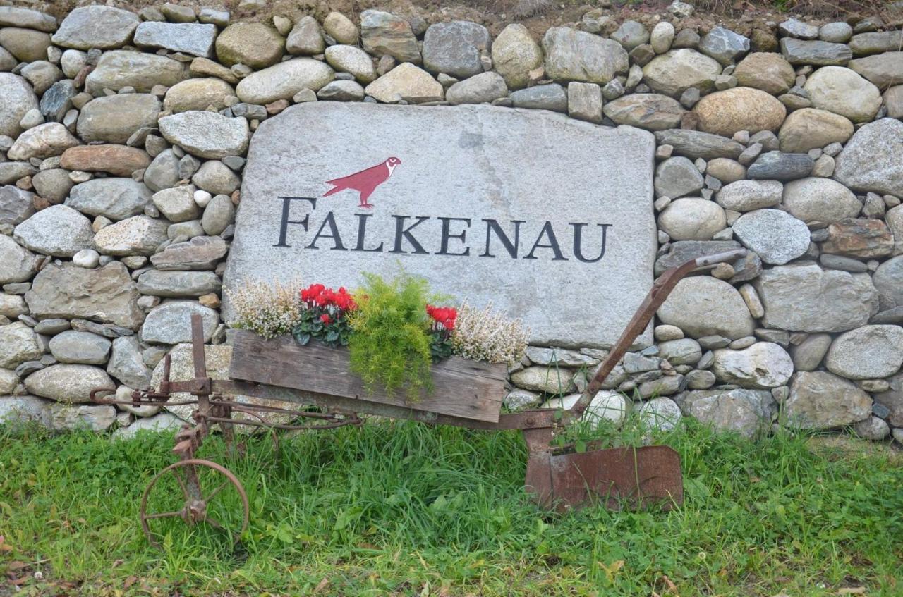 Falkenau Chienes Esterno foto