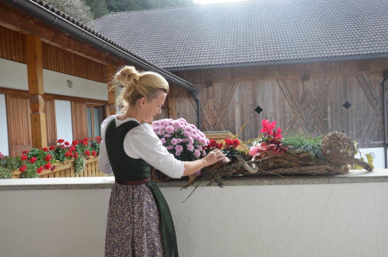 Falkenau Chienes Esterno foto