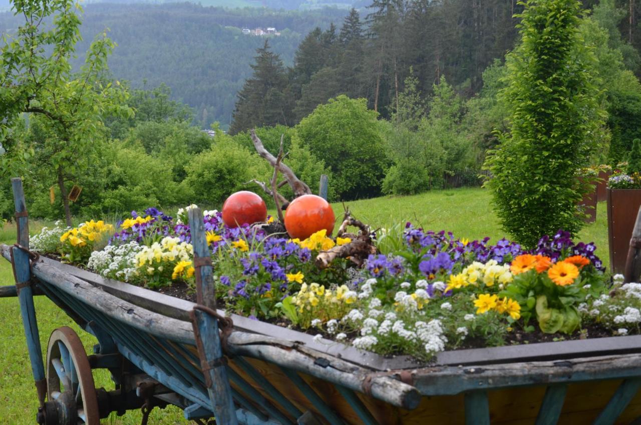 Falkenau Chienes Esterno foto