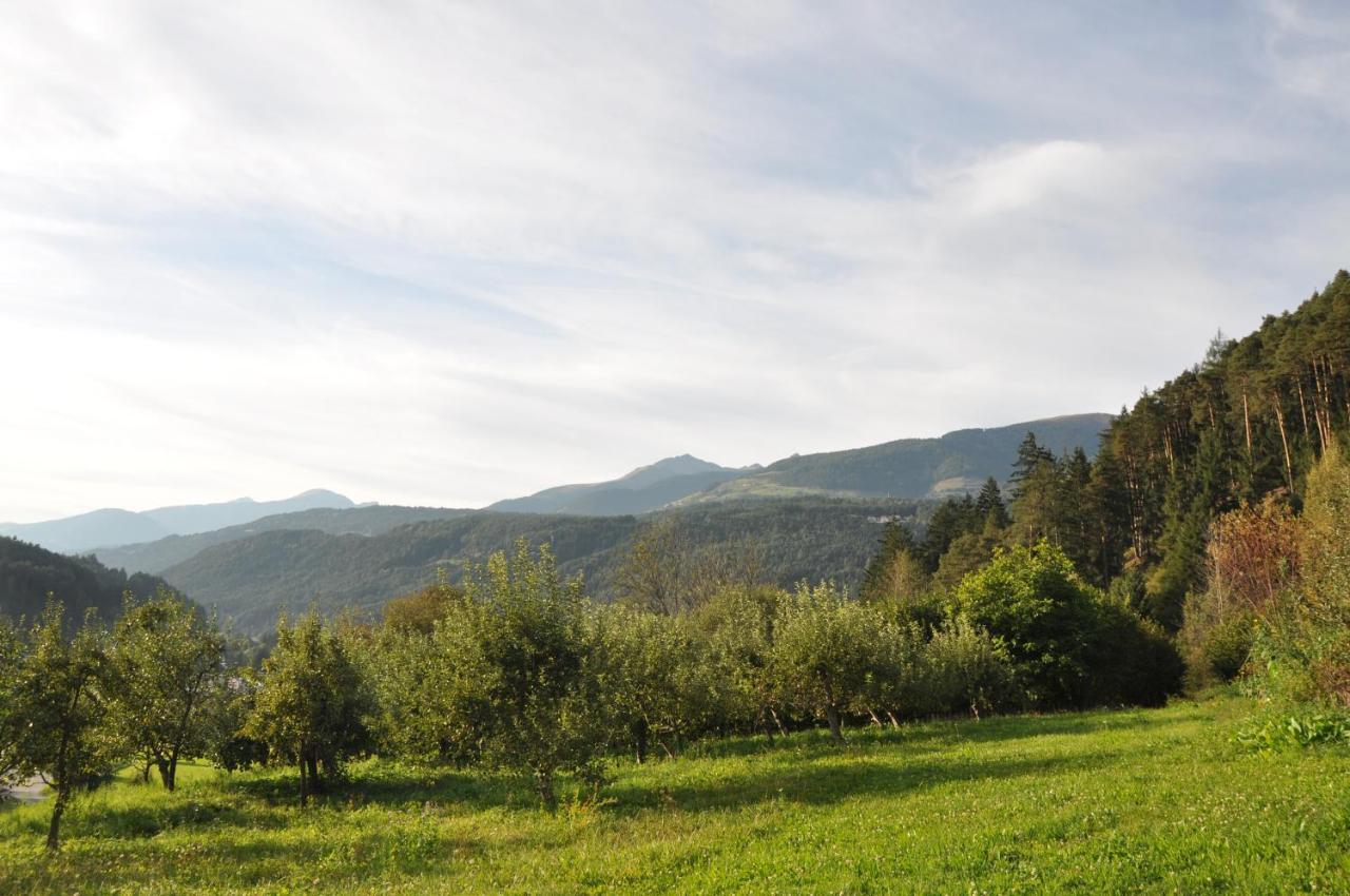 Falkenau Chienes Esterno foto