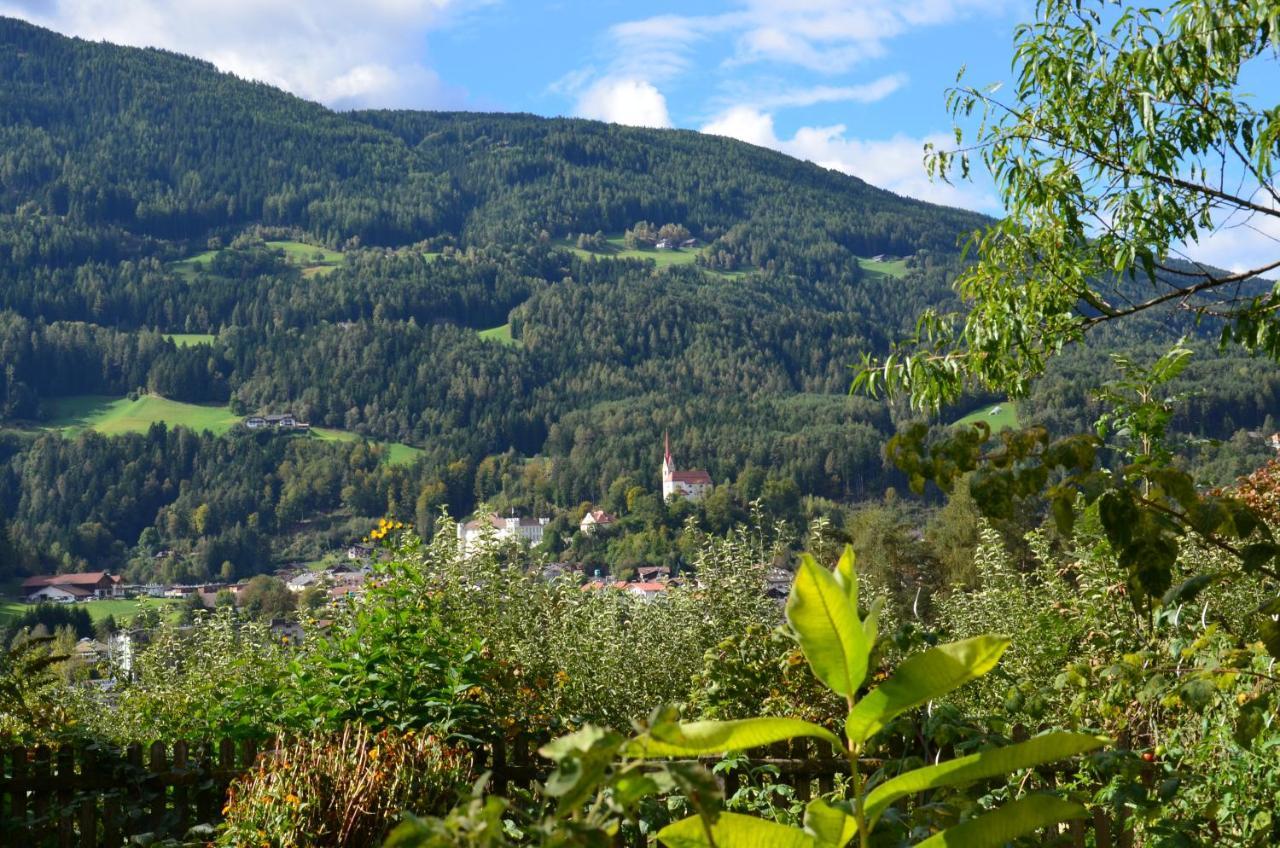 Falkenau Chienes Esterno foto