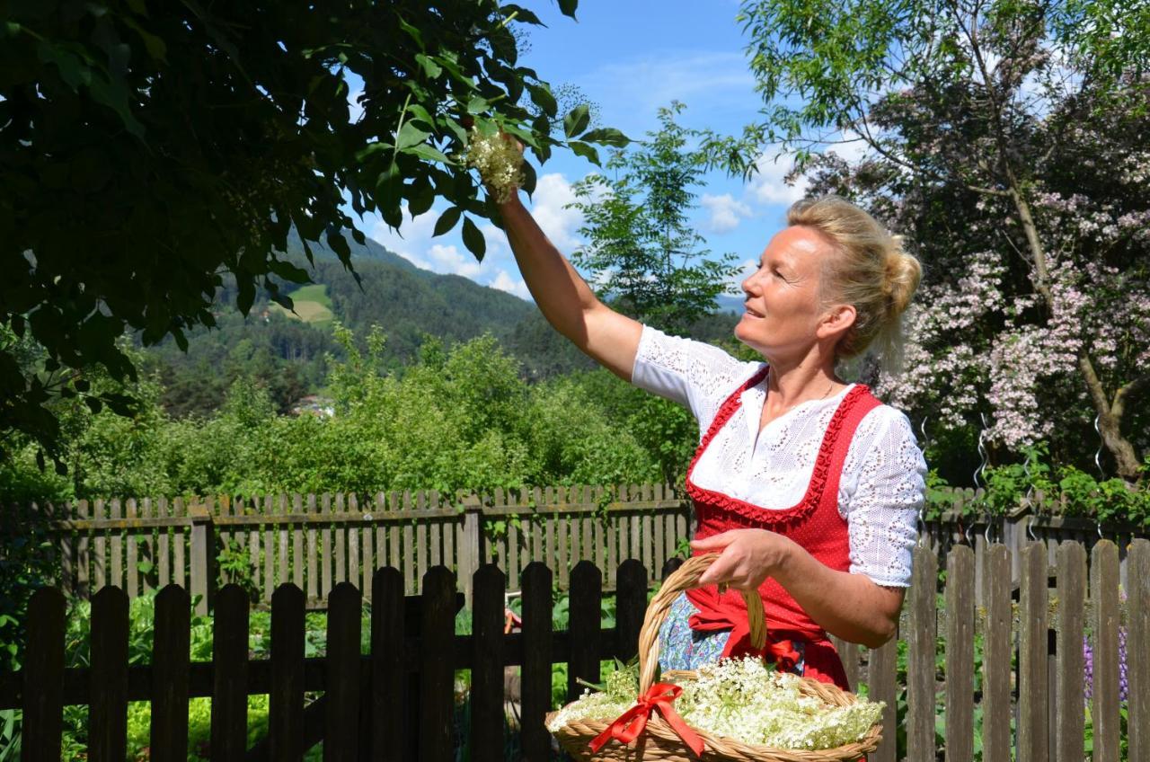 Falkenau Chienes Esterno foto