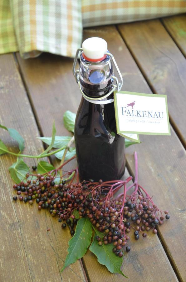 Falkenau Chienes Esterno foto