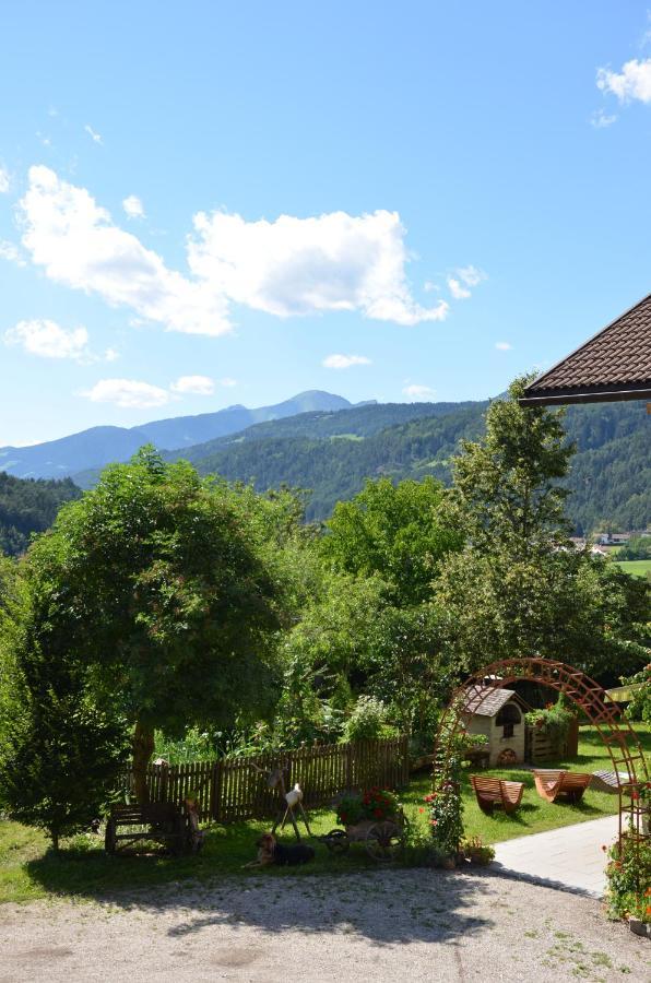 Falkenau Chienes Esterno foto