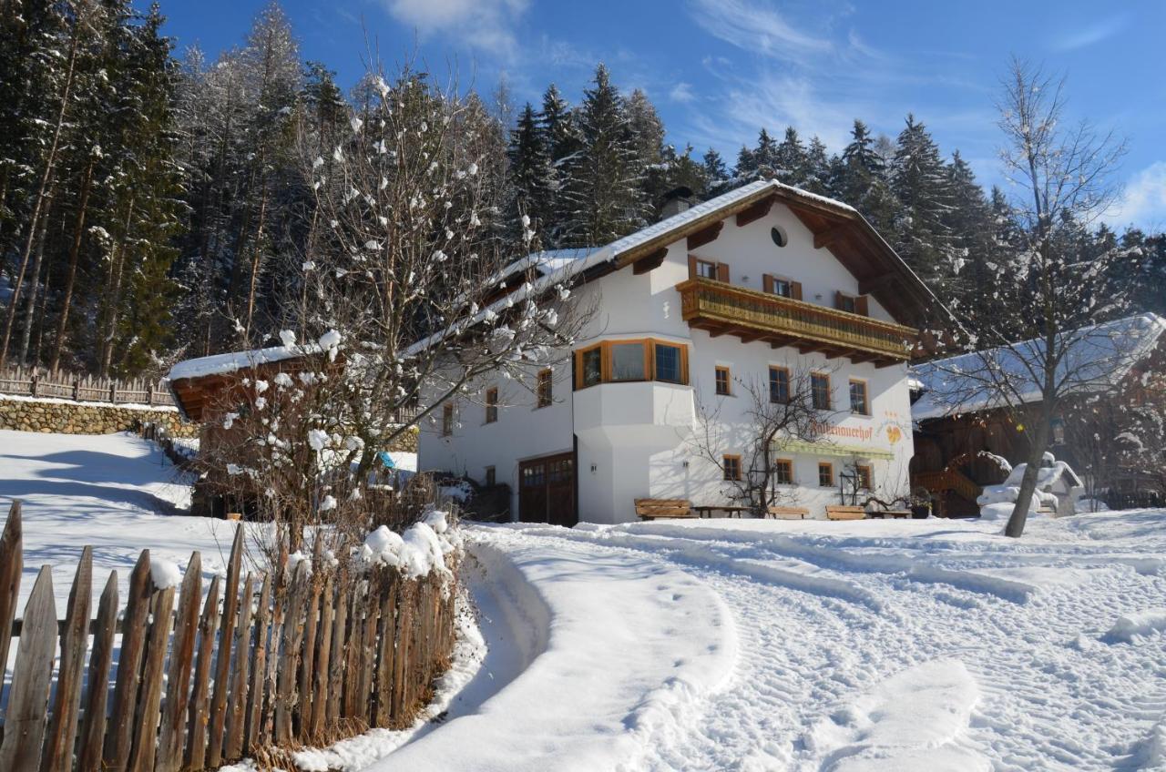 Falkenau Chienes Esterno foto