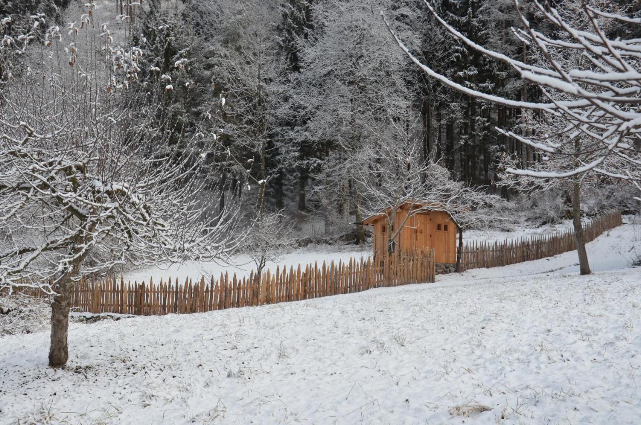 Falkenau Chienes Esterno foto